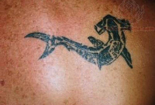 Hammerhead Shark Tattoo On Back